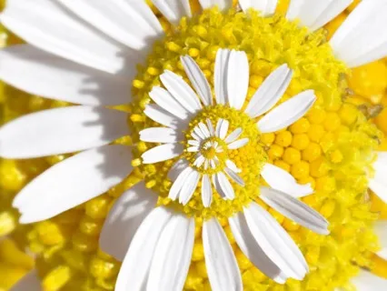 Eye Of The Hurricane