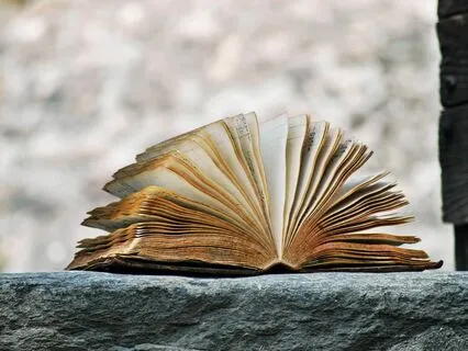 Wisdom Pills: Fables