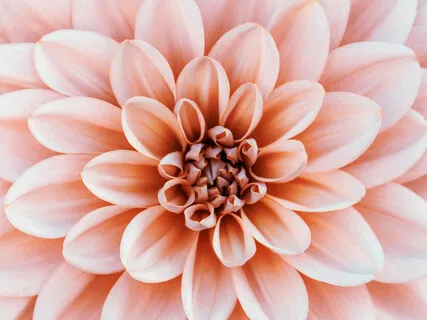 Connect With Your Partner Through Caressing The Face