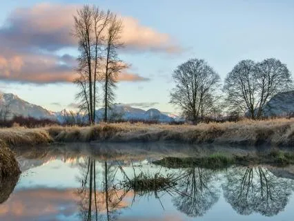 Face Chaos Say Yes To You