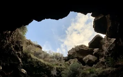 Face The Worst To Live Your Best