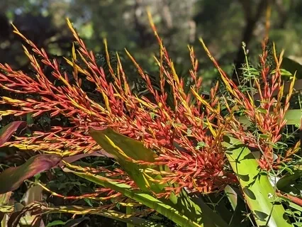 Face Yoga: Exercise To Diminish The Laugh Lines