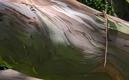 Face Yoga - Relaxation Of The Eyes And Mouth Muscles