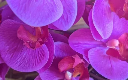 Face Yoga- Sequence For Nasolabial Folds & Marionette Lines