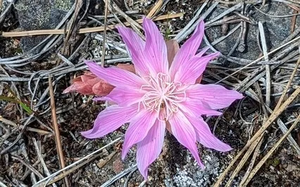 Face Yoga -  Sequence To Eliminate Face Puffiness 