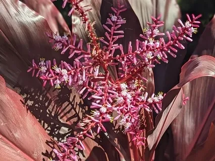 Face Yoga Warm-Up Exercise: Raspberry