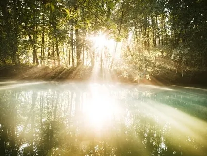 Facial Massage & Enlivening Pranayama