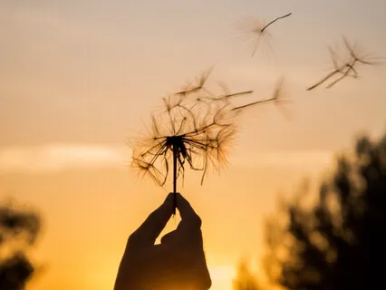 Facing Fear & Welcoming Change