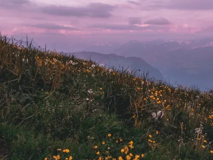 Facing Fear Yoga Nidra