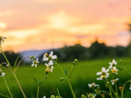 Facing The Voice Of Shame With Strength And Compassion