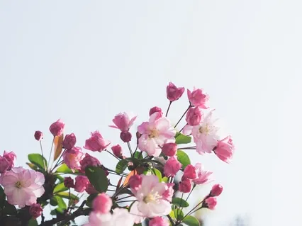 Facing Your Anxiety & Fear With Light