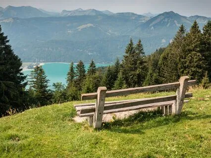 Facts About Ocean For Sleep