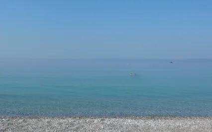 Facts About Shedding The Ego