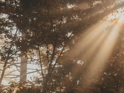 Fading Daylight