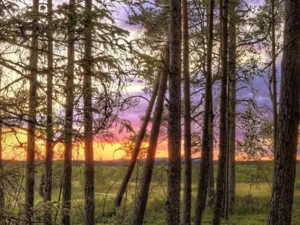 Fading to Dusk