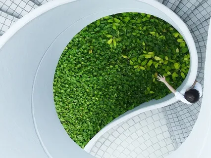 Acceptance Forgiveness & Love: A Note To Self & All - Theta