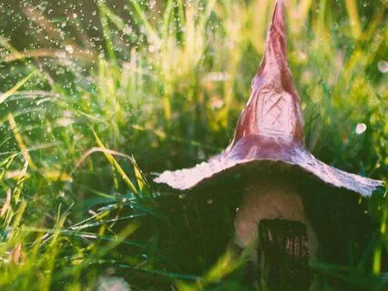 Fairies & Nature: Reconnect With Your Magic Self