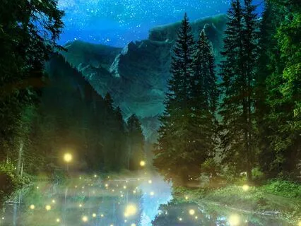 Fairies Of The Forest - Journey Of Gratitude