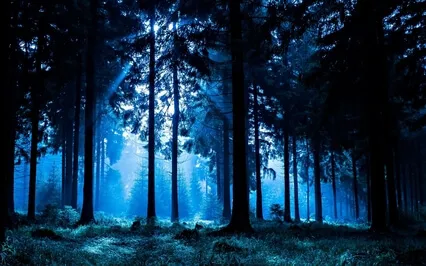 Fairies Wings (Long Bedtime Sleep Story)