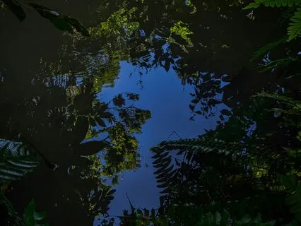 Fairy Frequency Sound Bath