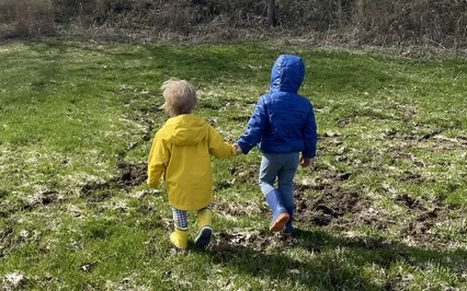 Fairy Inner Child Healing