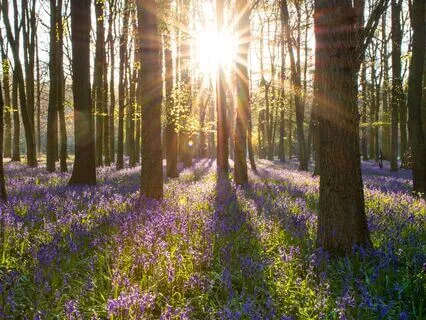 Fairy Spa Hotel Brain Retraining Visualization