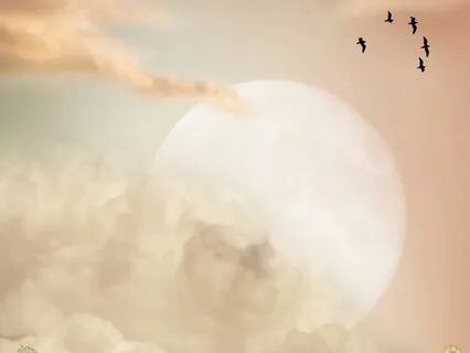 Fairy Sunset | Kids Bedtime Story | Storytime Sleep