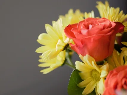 Faith,Energy  & Regular Practice Are Requirements-1