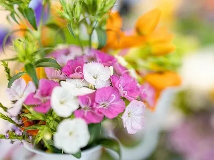 Faith, Energy, Right Memory, Regular Practice Is Requirement