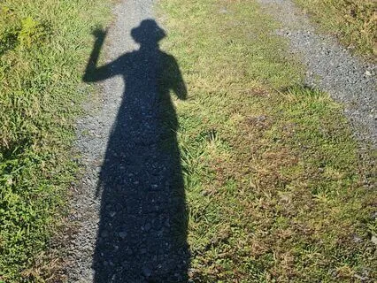 Faith In The Body Healing