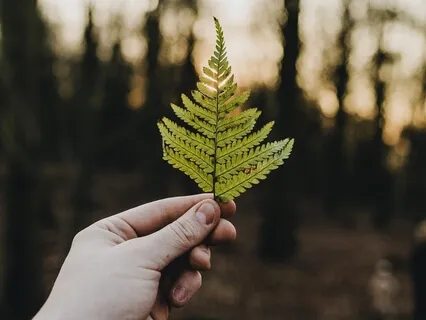 Faith In The Self Creates Stability