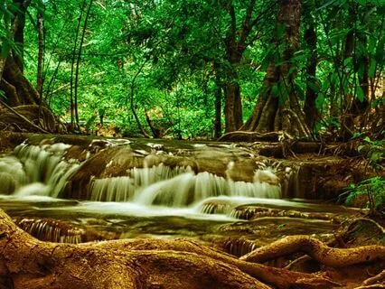 Falling Apart Into Your Stream Of Restoration