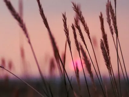 Fall Asleep And Return To Your God-Essence