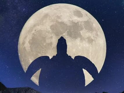 Fall Asleep Bedtime Story: The Tale Of The Talented Turtle