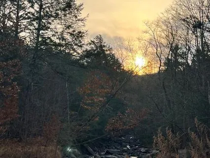 Fall Asleep By The Brook With Binaural Beats And Music