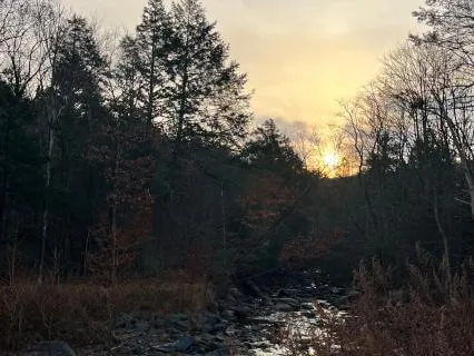 Fall Asleep By The Brook With Binaural Beats