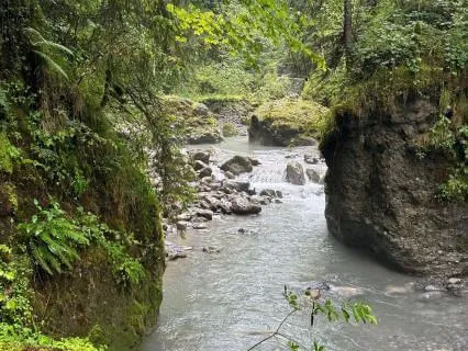 Fall Asleep By The Brook With Music