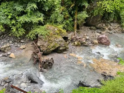 Fall Asleep By The Brook
