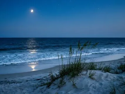 Fall Asleep By The Sea