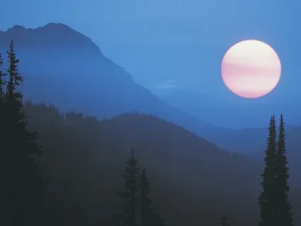 Fall Asleep Easily Affirmation Song