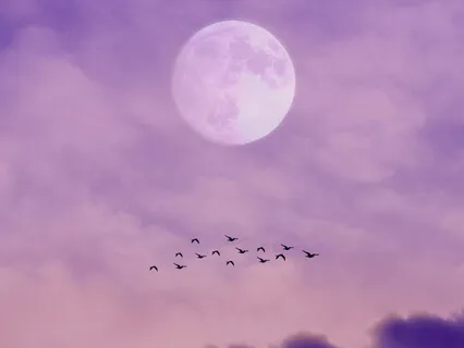 Fall Asleep Easily & Sleep Deeply, Meditation