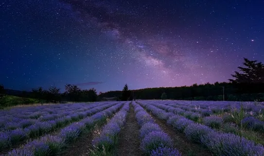Fall Asleep Fast 4Hz Delta Meditative Sleep Music