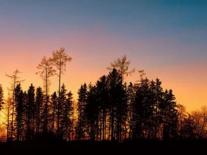 528 Hz Delta – Fall Asleep Fast & Deep Sleep Calm