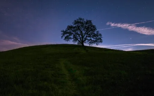 Fall Asleep Fast 8Hz Sleep Deep Wake Renewed