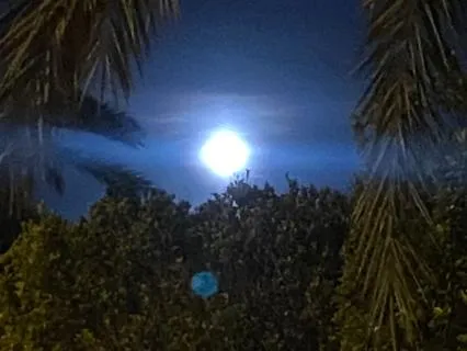 Fall Asleep Fast Guided Visualization 8 Hours