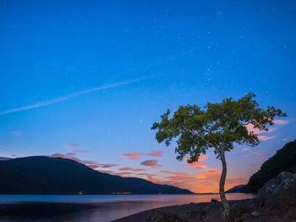 Fall Asleep Fast Manifest Peace Sleep Talk Down