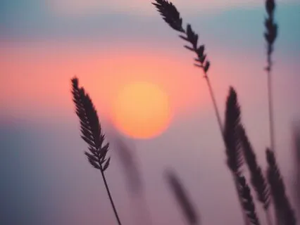 Fall Asleep Fast - Relax And Eliminate Insomnia