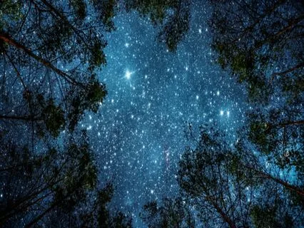 Fall Asleep Fast - Serene Sleep Breathwork