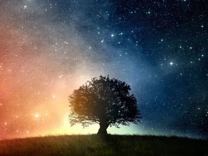 Fall Asleep Fast: Deep Sleep Meditation