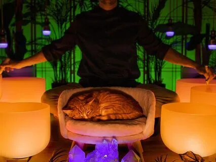 Fall Asleep Faster Sound Bath